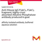 Merck Anti-Mouse IgG F(ab')2, F(ab')2 fragment, highly cross absorbed-Alkaline Phosphatase antibody produced in goat