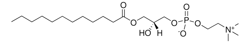 Merck 12:0 Lyso PC