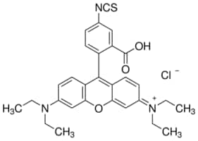 Merck RHODAMINE B ISOTHIOCYANATE, MIXED ISOME&