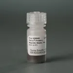 Thermo Fisher Scientific Pierce Protein L Magnetic Beads, 1 mL
