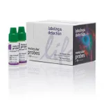 Thermo Fisher Scientific ActinGreen 488 ReadyProbes Reagent (AlexaFluor 488 phalloidin)