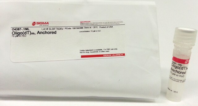 Merck OLIGO DT PRIMERS