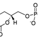 Merck L-A-PHOSPHATIDYLCHOLINE, DICAPROYL