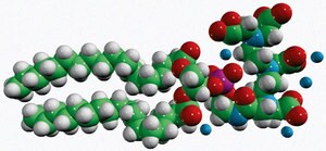Merck 18:0 PE-DTPA