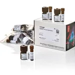 Thermo Fisher Scientific CyQUANT XTT Cell Viability Assay