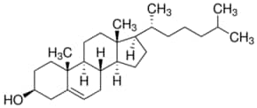 Merck CHOLESTEROL, TESTED ACCORDING TO PH EUR