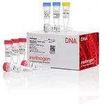 Thermo Fisher Scientific Zero Blunt TOPO PCR Cloning Kit, without competent cells, 25 Reactions