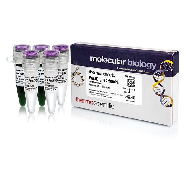 Thermo Fisher Scientific FastDigest BamHI, 800 μL (800 Reactions)