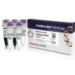 Thermo Fisher Scientific FastDigest BamHI, 800 μL (800 Reactions)