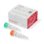 Thermo Fisher Scientific Lipofectamine LTX Reagent with PLUS Reagent, 0.3 mL
