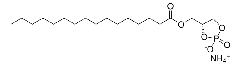 Merck 16:0 Cyclic LPA