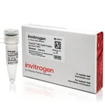 Thermo Fisher Scientific TrueCut HiFi Cas9 Protein (5 ug/μL), 100 ug