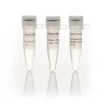 Thermo Fisher Scientific DNase I, RNase-free (1 U/μL)