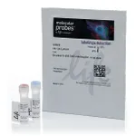 Thermo Fisher Scientific Qtracker 655 Cell Labeling Kit (Trial Size)