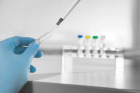 Microsart® Validation Standard Mycoplasma fermentans