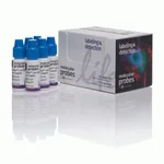 Thermo Fisher Scientific NucBlue Live ReadyProbes Reagent (Hoechst 33342)