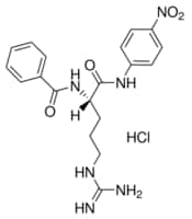 Merck NA-BENZOYL-L-ARGININE P-NITROANILIDE &