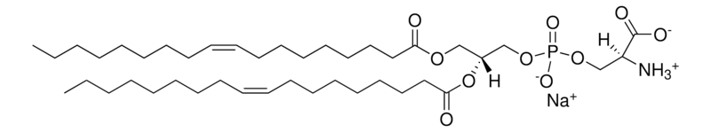 Merck 18:1 PS (DOPS)