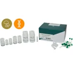 APBIO APower™ Fungal DNA MM