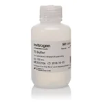 Thermo Fisher Scientific TE Buffer