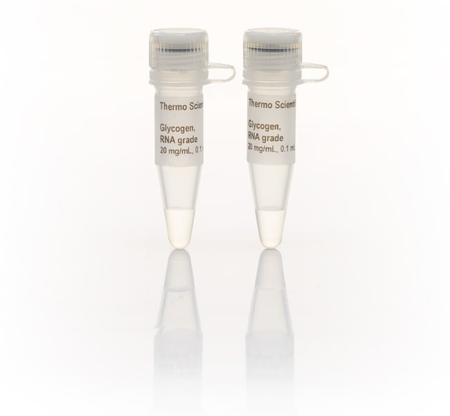 Thermo Fisher Scientific Glycogen, RNA grade