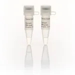 Thermo Fisher Scientific Glycogen, RNA grade