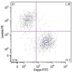 Thermo Fisher Scientific Mouse anti-Human Lambda Light Chain Secondary Antibody, PE