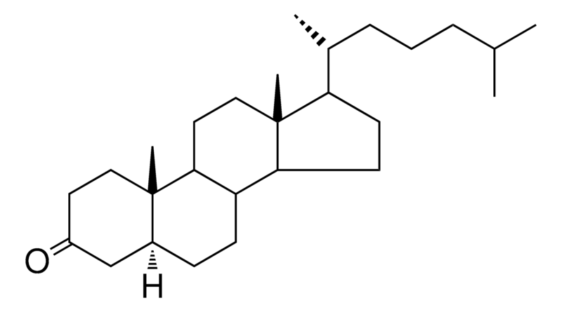 Merck 17-(1,5-DIMETHYL-HEXYL)-10,13- - 25 MG&