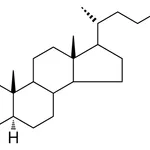 Merck 17-(1,5-DIMETHYL-HEXYL)-10,13- - 25 MG&