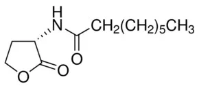 Merck N-OCTANOYL-L-HOMOSERINE LACTONE