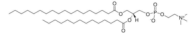 Merck 18:0-14:0 PC