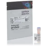 Thermo Fisher Scientific Alexa Fluor 514 NHS Ester (Succinimidyl Ester)