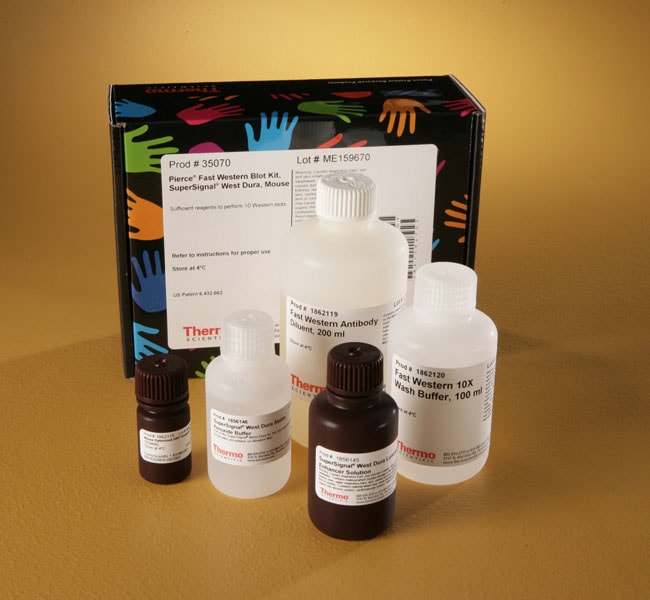 Thermo Fisher Scientific Pierce Fast Western Blot Kits, SuperSignal West Dura, Mouse
