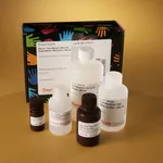 Thermo Fisher Scientific Pierce Fast Western Blot Kits, SuperSignal West Dura, Mouse