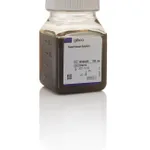 Thermo Fisher Scientific Autolyzed Yeast Extract (15% solution)