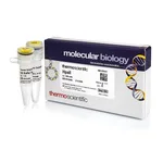 Thermo Fisher Scientific HpaII (10 U/μL), 1,000 units