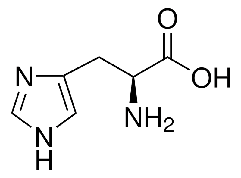 Merck L-Histidine