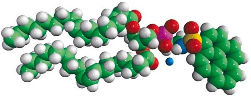 Merck 18:1 Pyrene PE