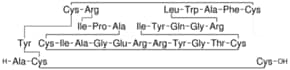 Merck DEFENSIN HNP-1 HUMAN
