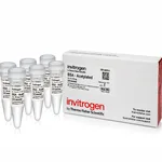 Thermo Fisher Scientific BSA, acetylated (20 mg/mL)