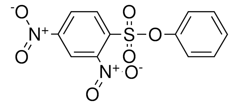 Merck PHENYL 2,4-DINITROBENZENESULFO - 50 MG&