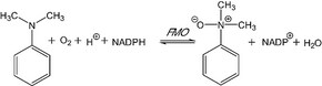 Merck FMO MICROSOMES(TM)