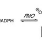 Merck FMO MICROSOMES(TM)