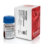 Thermo Fisher Scientific Dynabeads M-280 Tosylactivated, 2 mL