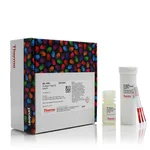 Thermo Fisher Scientific Pro-Detect Rapid GST Assay Kit
