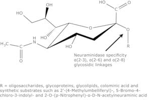 Merck NEURAMINIDASE TYPE III FROM VIBRIO CHOLE