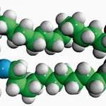 Merck C12-NBD PHYTOSPHINGOSINE