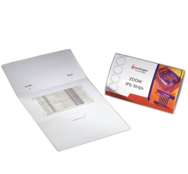 Thermo Fisher Scientific ZOOM IPG Strip pH 6-10