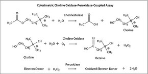 Merck CHOLINE OXIDASE FROM ARTHROBACTER SP.