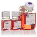 Thermo Fisher Scientific PSC Cardiomyocyte Differentiation Kit